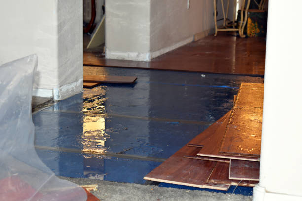 Professional Basement Flood Cleanup technician working in Bath, NH